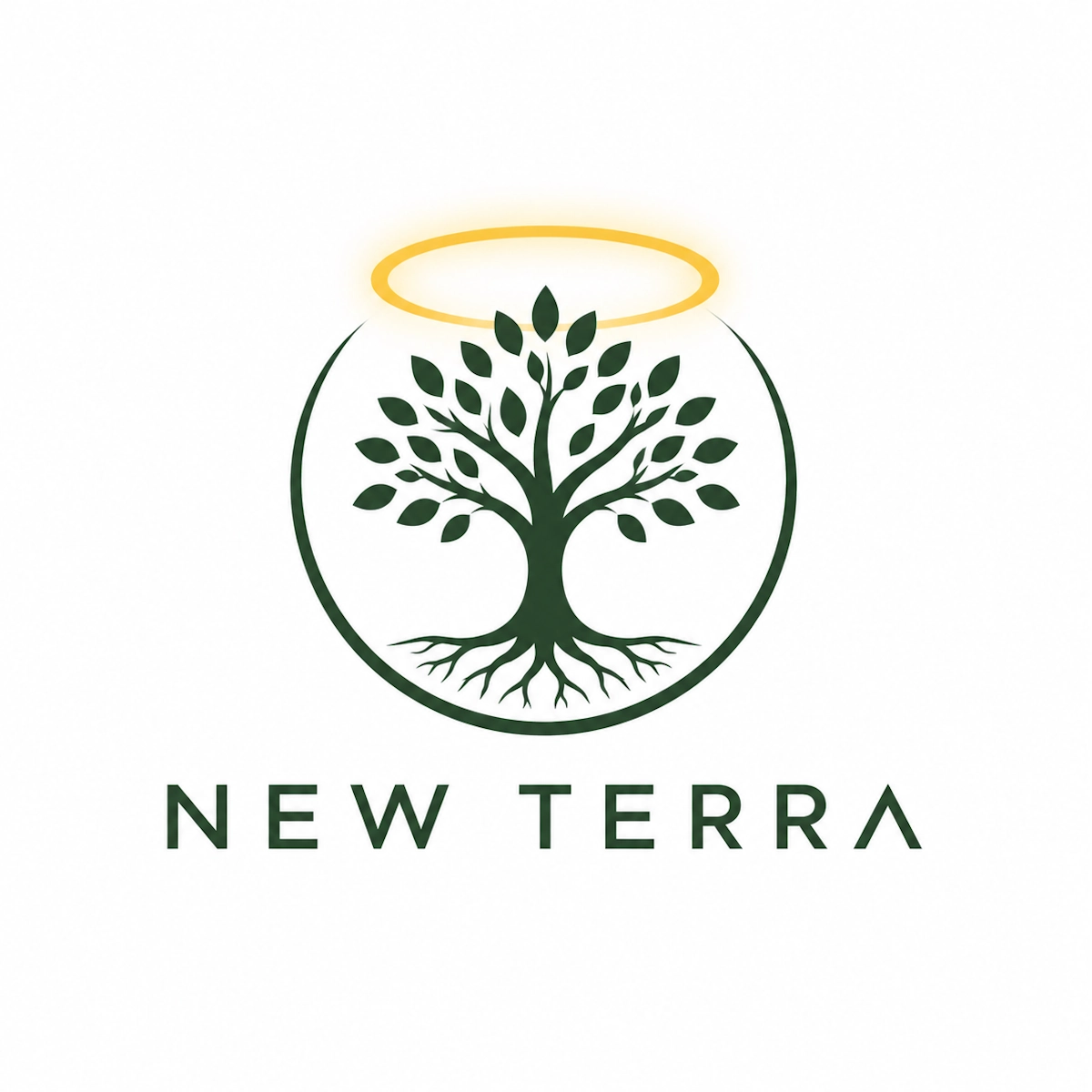Logo de New Terra